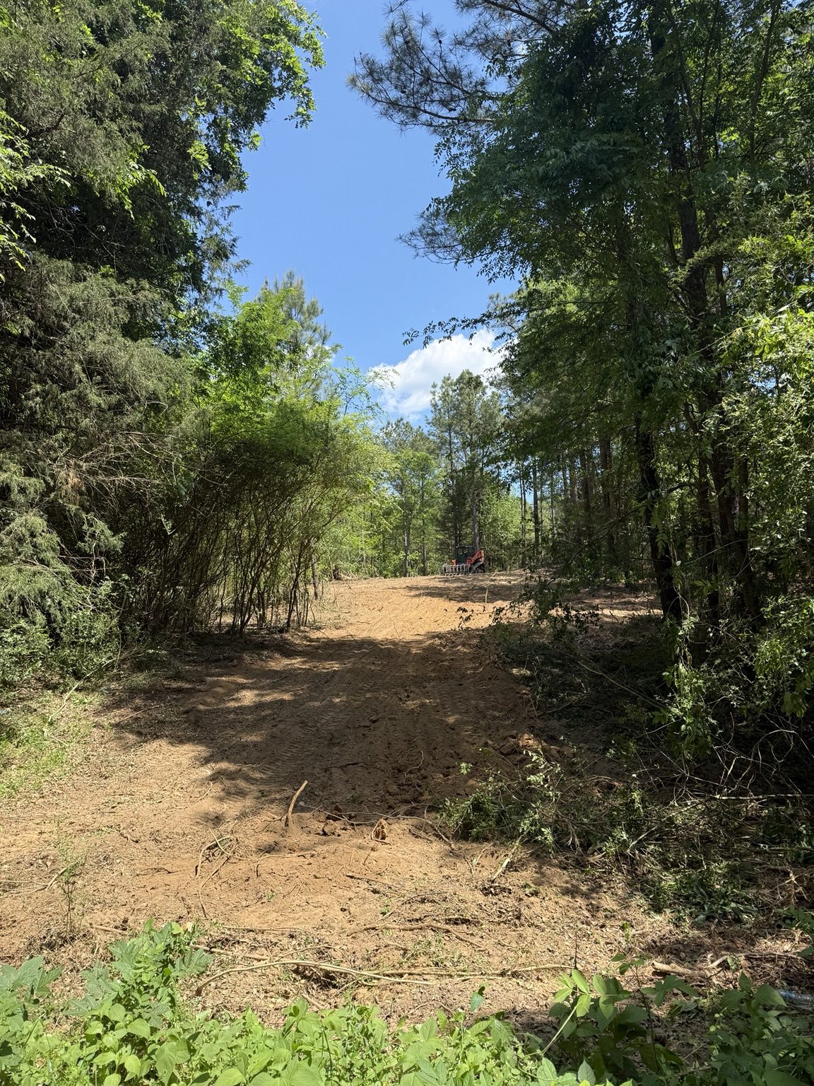 Property during land clearing