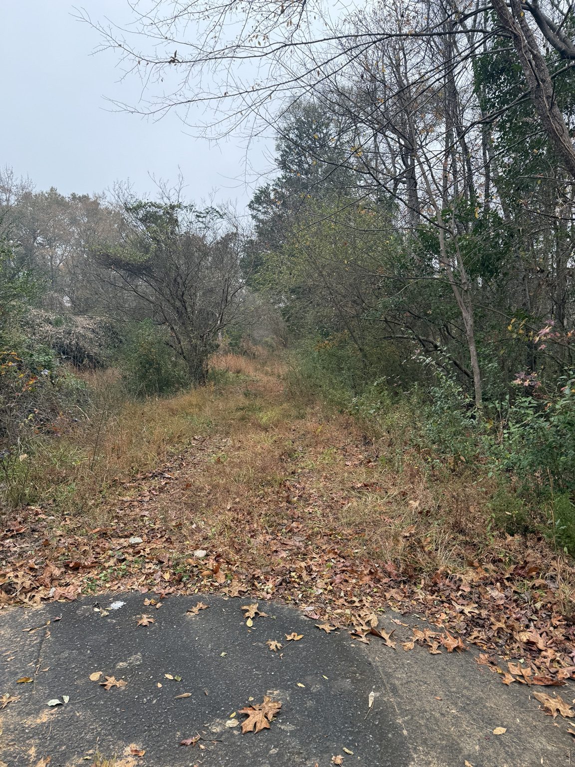Property access before clearing