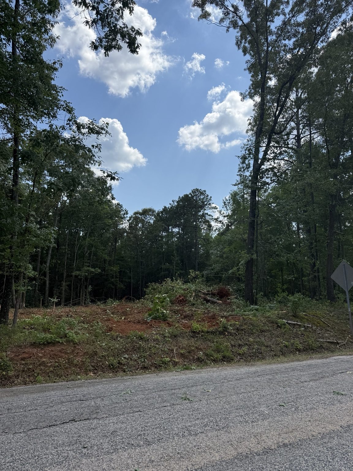 Cleared roadside property