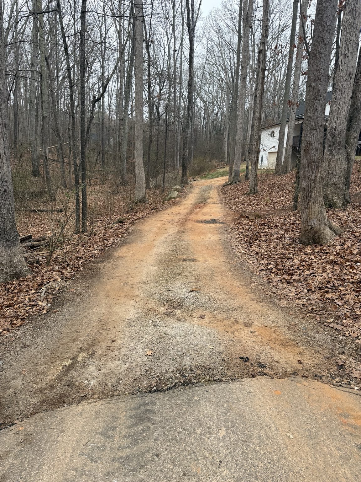 Wooded driveway before repair