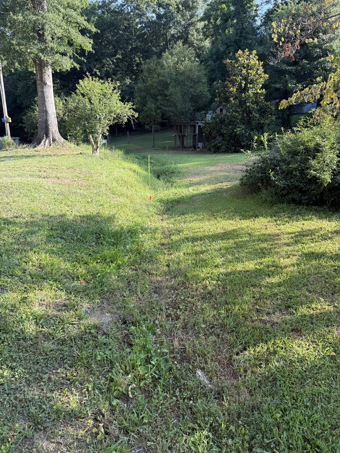 Drainage area before repair