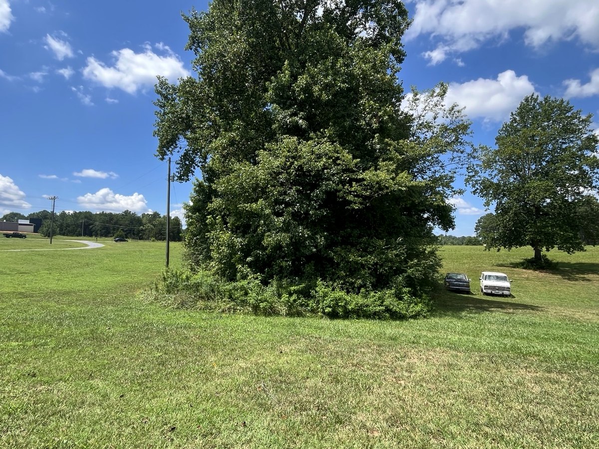 Completed land clearing project